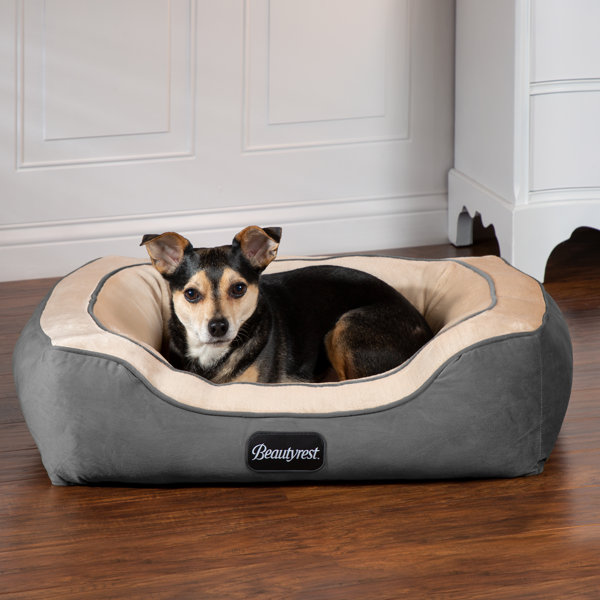 Why Do Dogs Mess Up Beds